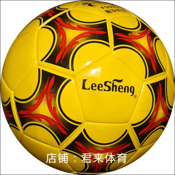 Ballon de football - Ref 5945 Image 30