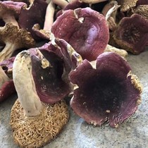 Red mushroom red mushroom wild authentic red mushroom dry goods Fujian wild 500g big red mushroom red mushroom Guangxi