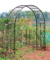 Gardening Arch Climbing Iron Arch Frame Clematis Climbing Rose Grape Stand Outdoor Flower Stand