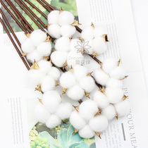 Bouquet gift box decoration natural cotton immortal dried flower handmade bouquet diy flower packaging material floral accessories