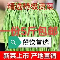 Net weight 5 jins of leafless dried tribute vegetables without cutting commercial premium quality moss dried moss vegetables hot pot dehydrated 10 jins 4