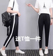 Váy hè 2018 mới cho bé gái chân chín quần linh hoạt thể thao rộng rãi quần harem học sinh trung học phổ thông