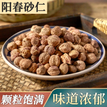 德仁居正宗阳春砂仁中药材特级砂仁果100g克春砂仁香料泡酒干货