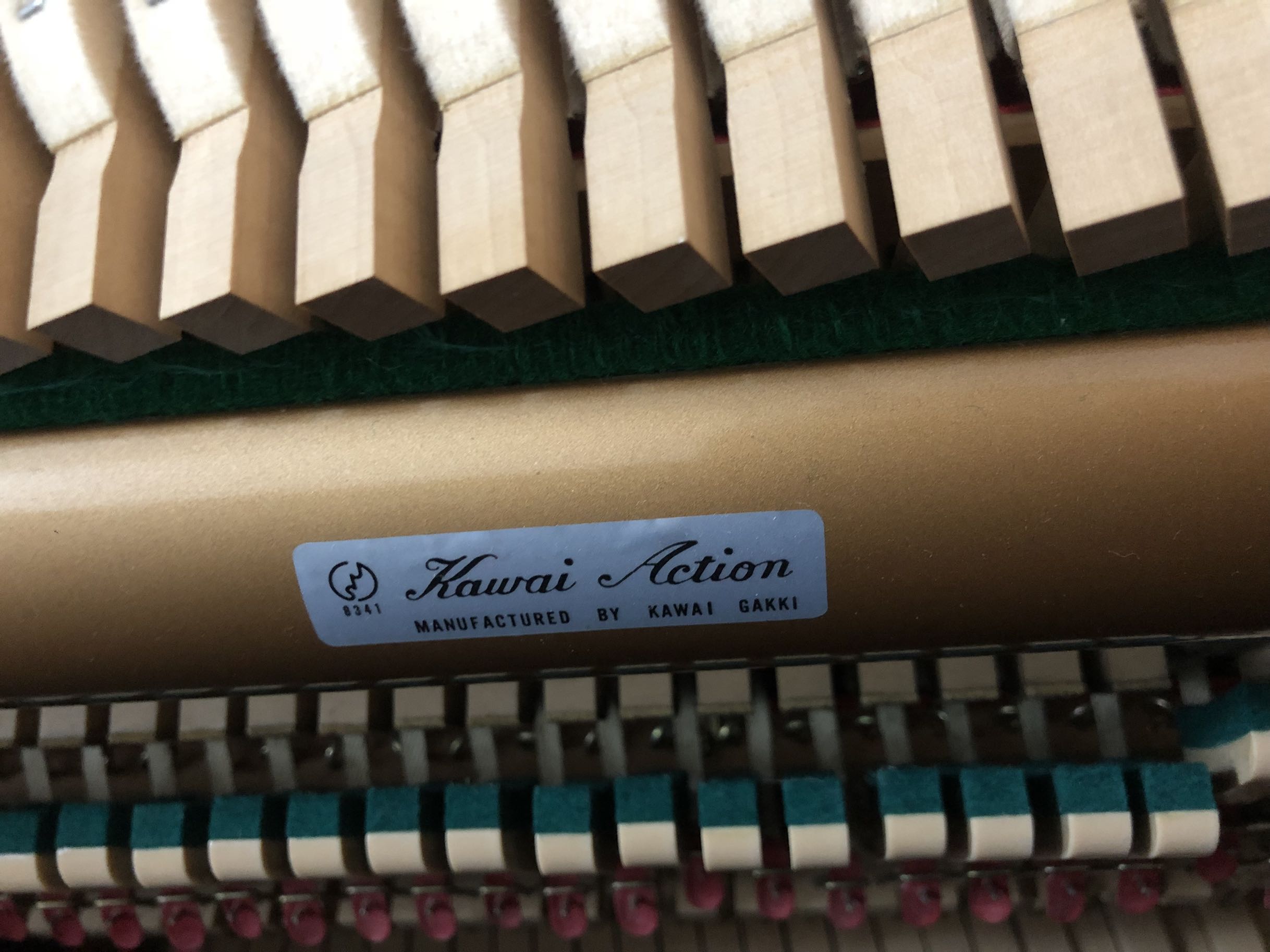 Nhật Bản nhập khẩu đàn piano Kawaii KAWAI Đàn piano đàn piano BS-20 phiên bản đặc biệt - dương cầm casio cdp 120