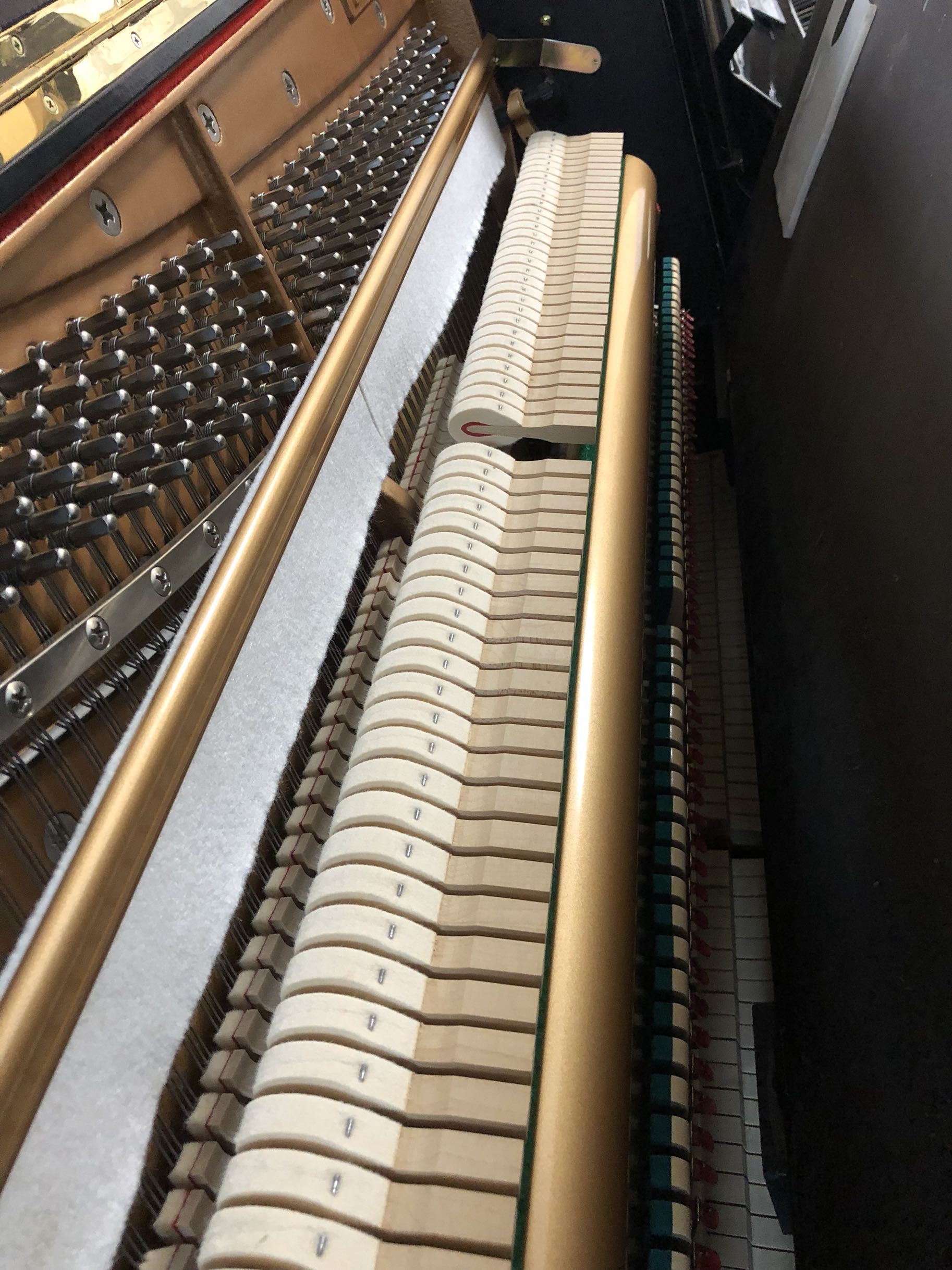 Nhật Bản nhập khẩu đàn piano Kawaii KAWAI Đàn piano đàn piano BS-20 phiên bản đặc biệt - dương cầm casio cdp 120
