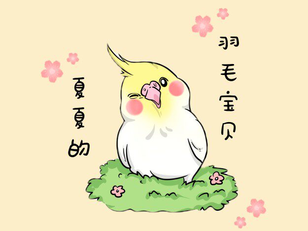 夏夏的羽毛宝贝
