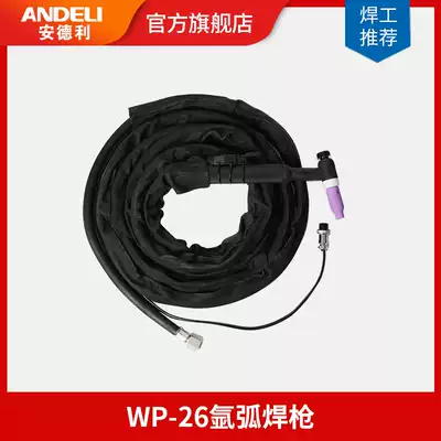 Andley WSE-250 315 AC/DC argon arc welding machine with gun WP-26 argon arc gun fittings