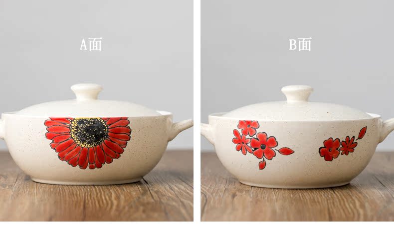 Nồi súp hai tai gia đình nồi súp sáng tạo nồi hầm nồi súp lớn bát chim yến bát bộ đồ ăn Nhật Bản - Đồ ăn tối bộ chén đĩa