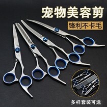 Pet scissors Beauty tool set Professional hair trimmer Dog hair bend scissors Dog Teddy hair clipper Hair clipper artifact