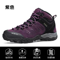 Фиолетовые женские соглашения