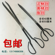 Monoptera leeel Leech loach fish clip eel Rice Eel crooked fish tweezers iron pliers