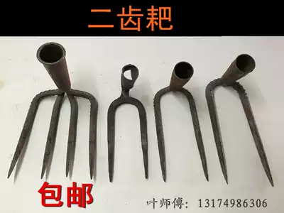 Small hoe digging wild vegetables, planting flowers, weeding, hoe, rake, agricultural head, two-tooth rake, shavings, loading and unloading tools