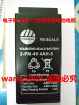 YOUSHENG battery 2-FM-4V4AH-5 electronic weighing platform scale price scale battery