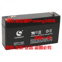 CONSENT GS6V1 3AH (6M1 3LC 20Hr) electronic weighing toy car lighting power battery