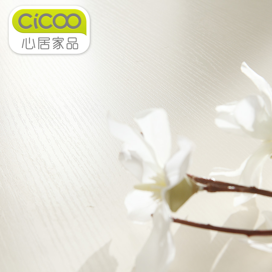 �ľӼ�Ʒ��ʽ��Ь��J100N