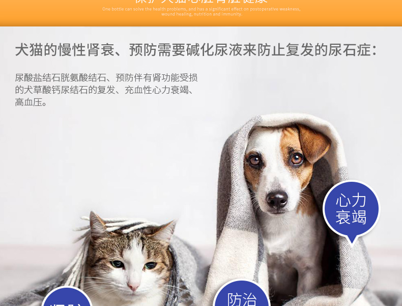 Lantes thú cưng Sheng Khang bệnh thận thú cưng uống chất lỏng chó mèo viêm thận suy thận thận thuốc tăng huyết áp - Cat / Dog Health bổ sung sữa bột cho mèo con