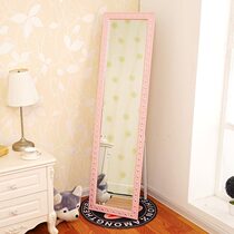 Living Room Mirror Full Body Wear Mirror Mobile Foldable Wardrobe Mirror Beauty Institute Eurostyle Telescopic Province Space Clothing Store