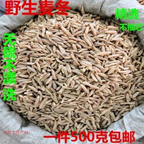 Ophiopogon japonicus hand selection natural sulfur-free new goods Sichuan Ophiopogon japonicus wine flower tea Maidong 500 Chinese herbal medicine