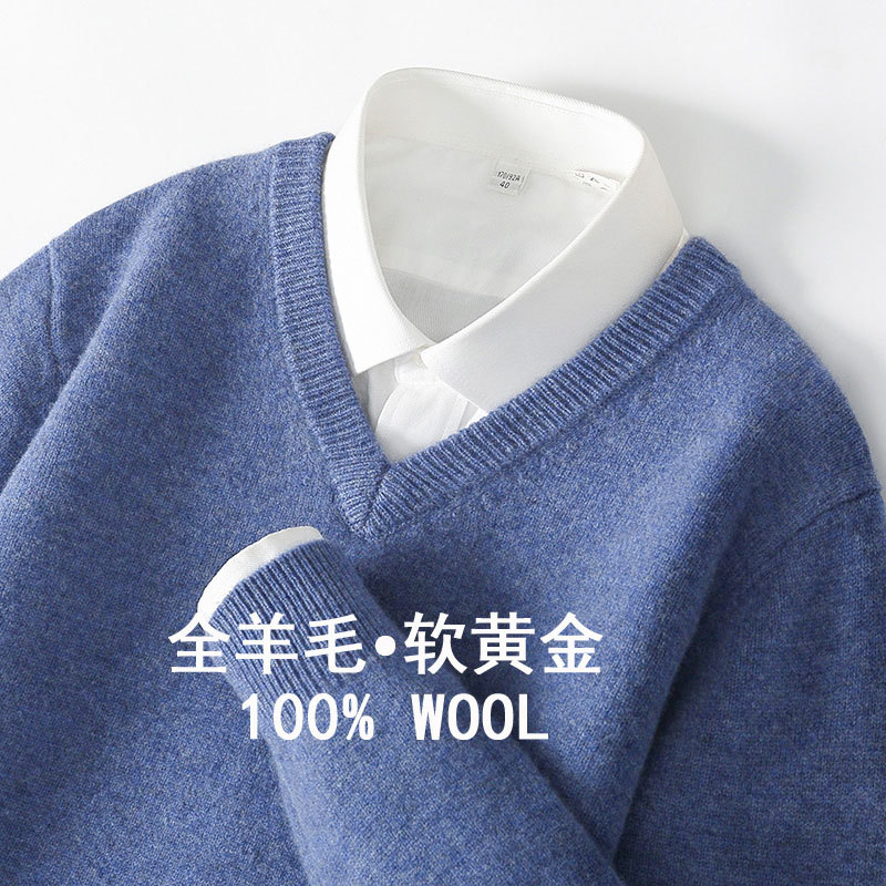 Double-Layered Thick 100% Pure Wool Sweater for Men, V-Neck Pullover, Base Layer Sweater, Loose Fit, Versatile Solid Color Knitwear, Plus Size