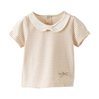 Цвет хлопковой темно -коричневой белой полосы