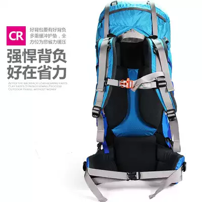 Tuofeng Outdoor Mountaineering Bag 60l Shoulder Bag Waterproof Men's and Women's Travel Bag Hiking Camping Tent Backpack 50L