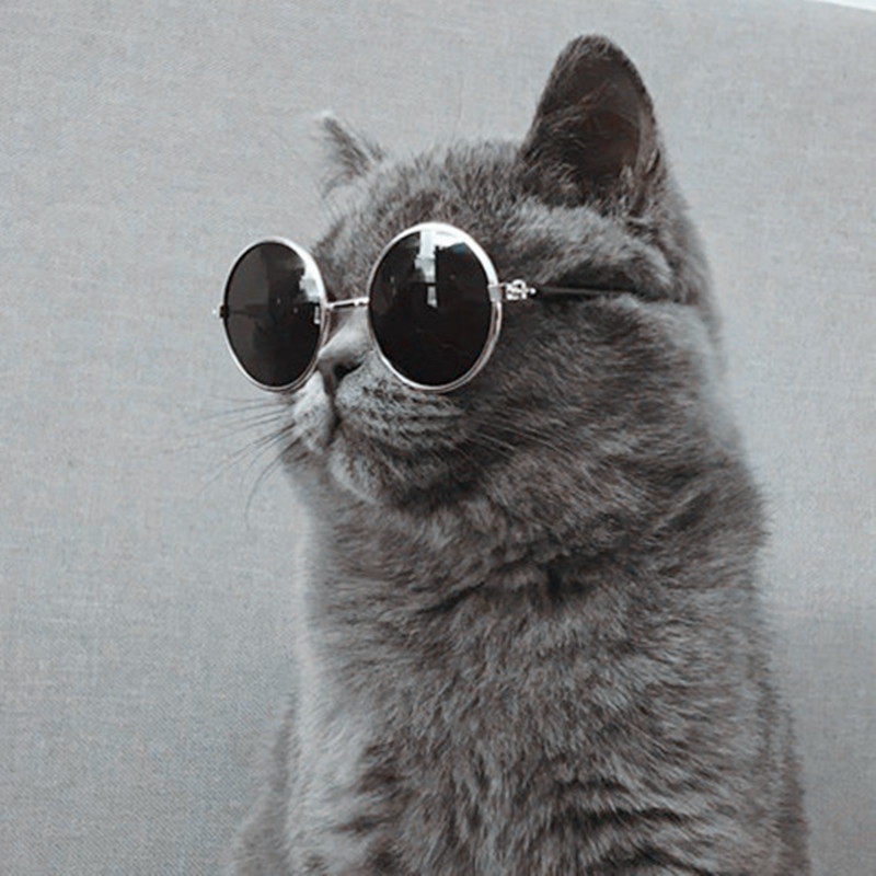 Pet Pooch Kitty Sunglasses Glasses Pet Glasses Kitty Glasses