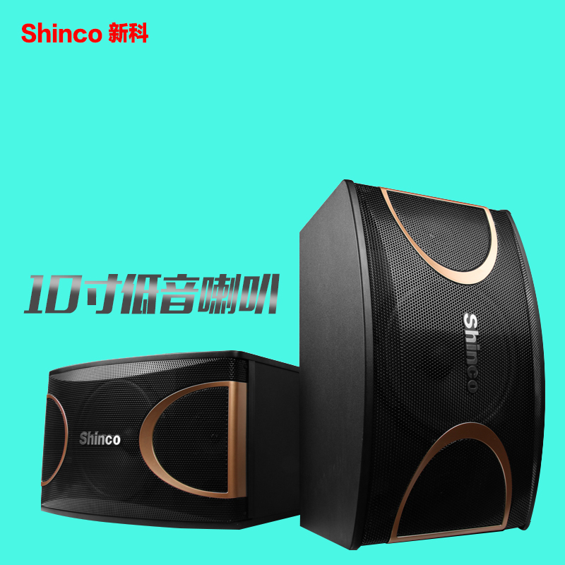 Shinco Shinko DK-10 10 inch Card Bag Speaker Dance Classroom Yoga Room Meeting Training Sound Suit