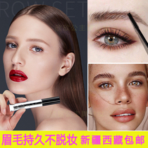 Eyebrow raincoat colorless transparent makeup liquid durable waterproof and sweat protection eyebrow makeup no decolorization and no faint makeup