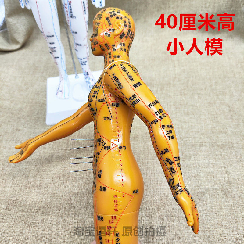40cm小号假人小皮人筋络模特铜人推拿人体穴位模型全身练习针灸