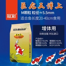 Guancai koi fish feed giant dragon king large medium and small particles float to increase body fat and color special fish food for not muddy water