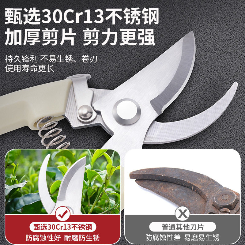 German Fruit Tree Pruning Shears for Cutting Fruit Branches, Gardening Pruning Shears, Labor-Saving Pruning Shears for Thick Branches