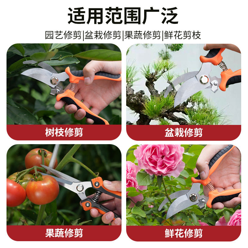 Ariyidun Fruit Tree Pruning Shears, Pruning Scissors, Labor-Saving Garden Pruning Shears for Thick Branches, Gardening Pruning Shears for Flower Trimming