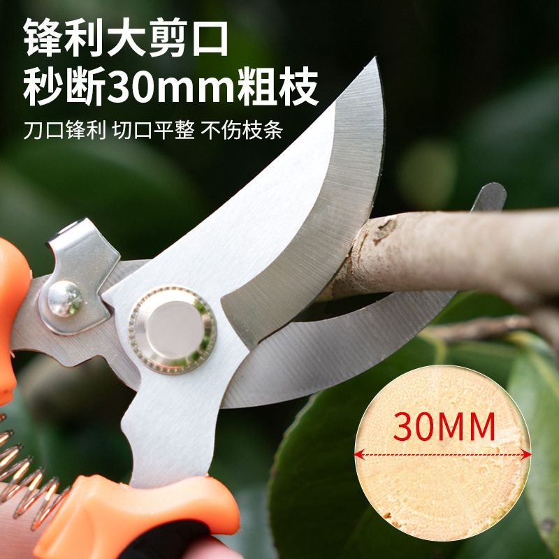 Ariyidun Fruit Tree Pruning Shears, Pruning Scissors, Labor-Saving Garden Pruning Shears for Thick Branches, Gardening Pruning Shears for Flower Trimming