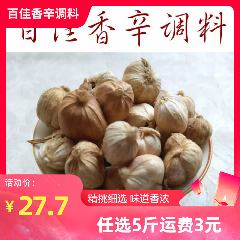 White Cardamom 500 gr White Kowren White Koon White Ko Son White Buckle Thyme Spice Seasoning