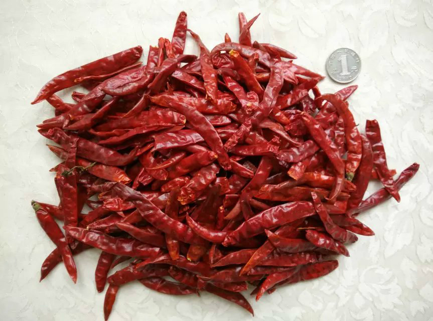 Fine Devil Pepper 13.9 Yuan 5 Kg Super Spicy Dried Pepper S17 Pepper Parkyam Spice Seasoning
