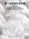 Atour Princess down Quilt White Goose down Quilt Winter Quilt Thickened Warmth Five-Star Hotel Winter Spring Autumn Quilt Core
