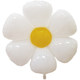 儿童节装饰马卡龙色大中号小雏菊气球派对户外白色太阳花鸡蛋菊花