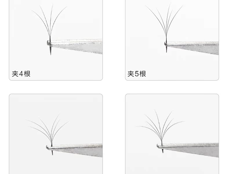 Ghép lông mi trong một giây có thể nở hoa Camellia sở hữu mái tóc dày Lông mi giả tự động nở hoa mềm mại tự nhiên - Lông mi giả mi giả gân trong