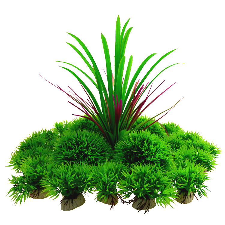 Trang trí hồ cá mô phỏng cảnh quan mô phỏng nước cỏ mô phỏng - Trang trí nội thất decor phòng ngủ đơn giản