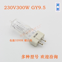 300W Spotlight Filament Fire Bubble 230V 110v Multiple models manufacturers Direct Sales Promotion