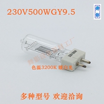 500W Spotlight Film and TV Photography Tungsten Filament Bubble 230V 110V Manufacturer Direct Selling