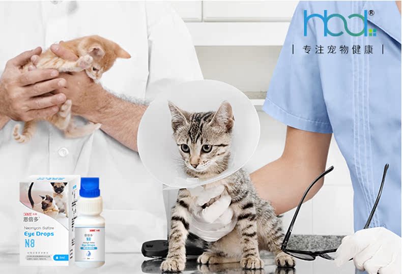 Enploid pet dog dog với nước mắt vết bẩn giọt Teddy dog ​​viêm giác mạc viêm kết mạc mắt rửa mắt - Thuốc nhỏ mắt nước ngâm lens aqua b5