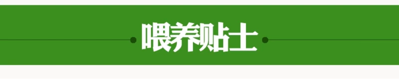 Niềm vui hơn thức ăn cho chó yến mạch vàng thú cưng nhỏ dành cho người lớn thức ăn cho chó thức ăn khô thức ăn cho chó Teddy thức ăn chủ yếu 10kg thức ăn chủ yếu cho chó - Chó Staples pate cho chó con