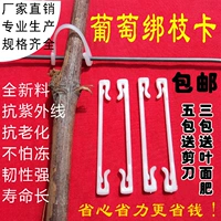 Nông nghiệp móc móc nhà kính kiwi trái cây buộc chi nhánh clip gắn khóa móc khóa máy làm vườn cung cấp đóng gói - Nguồn cung cấp vườn vòi tưới cây