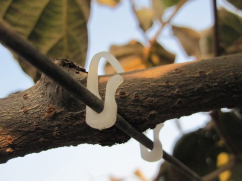 Nông nghiệp móc móc nhà kính kiwi trái cây buộc chi nhánh clip gắn khóa móc khóa máy làm vườn cung cấp đóng gói - Nguồn cung cấp vườn dụng cụ làm cỏ vườn