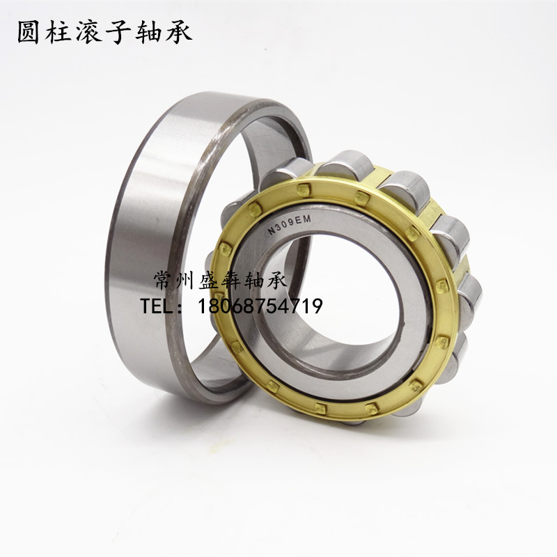 Cylindrical roller bearings N304 305 306 307 308 309 310 311 312 313 314 EM