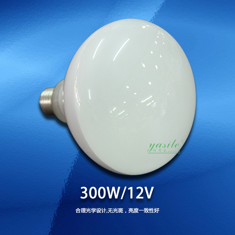 Swimming Pool 300W Pool Bottom Light Bulb 300W Bulb Swimming Pool Underwater Light Source