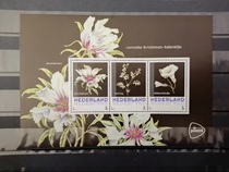 Authentic European Dutch stamp peony flower souvenir 3 postcards fresh flowers new collection