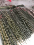 Толстый маленький бамбуко -полюсной овощной овощные виноградные виноградные лозы бамбука
