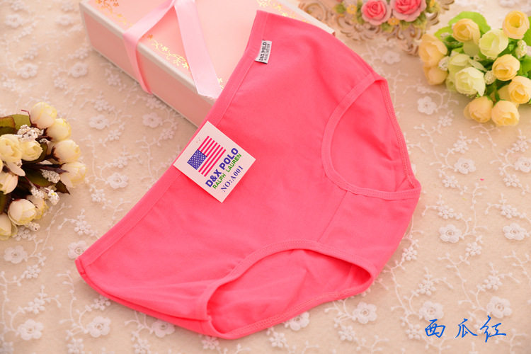 Slip jeunesse en coton - Ref 640111 Image 31